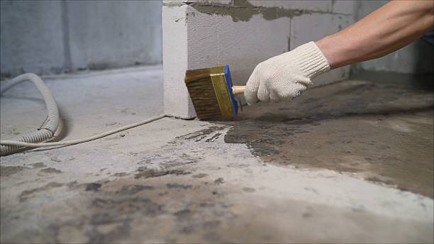 SJ Waterproofing Pros Emergency Waterproofing coverage map for Hamburg, MI and surrounding area